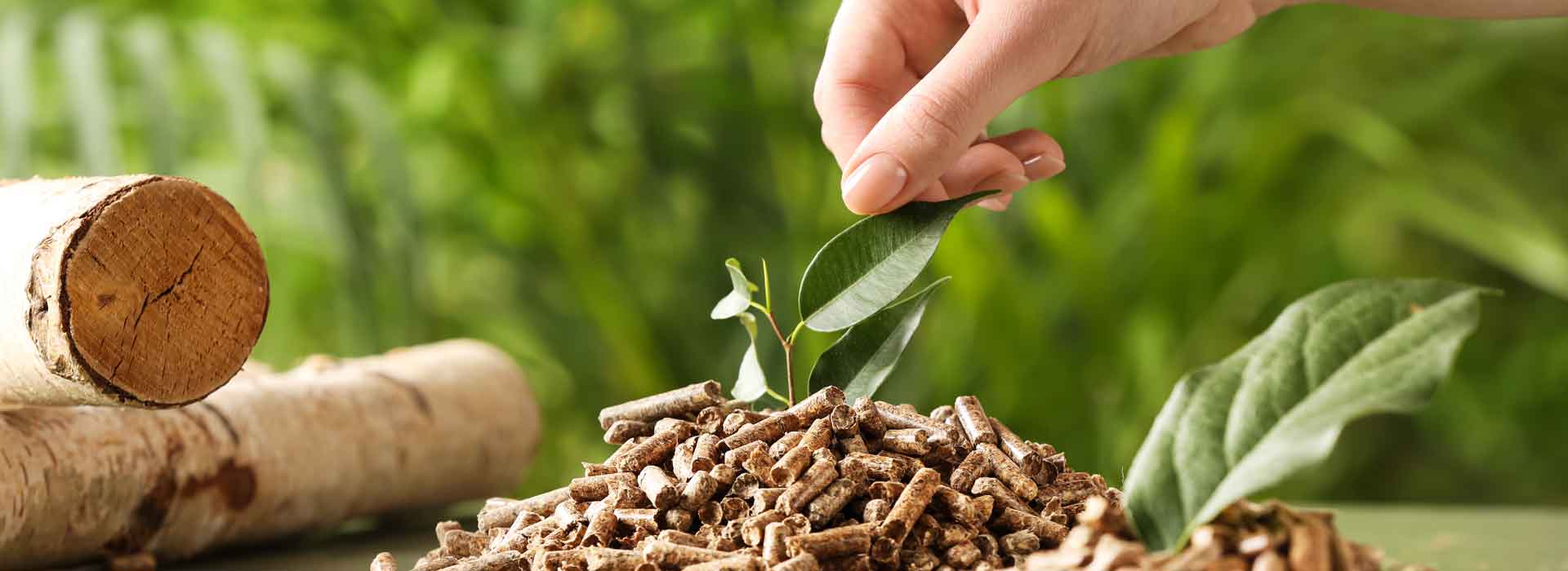 pellet, pellet z certyfikatem, certyfiakt enplus, producenci pelletu z certyfikatem enplus